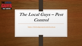 Termite Protection Adelaide | Thelocalguyspestcontrol.com.au