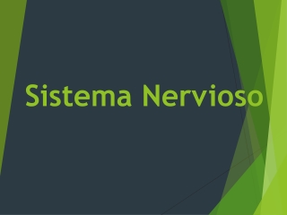 CLASE  Sistema Nervioso