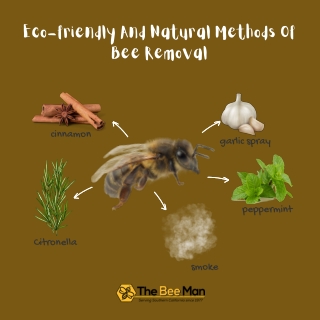 natural and eco-friendly ways of Orange County bee removal