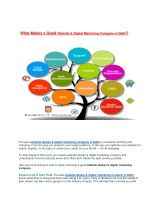 What Makes a Good Website & Digital Marketing Company in Delhi?