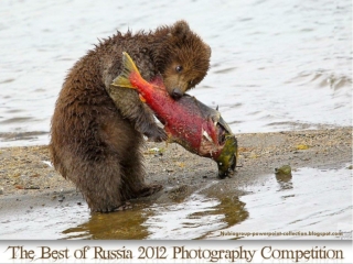 The Best of Russia 2012 Photography Competition