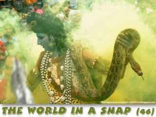 The World in a SNAP (46)