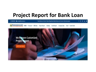 Project Report