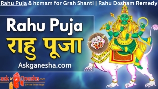 Rahu Puja & homam for Grah Shanti  Rahu Dosham Remedy