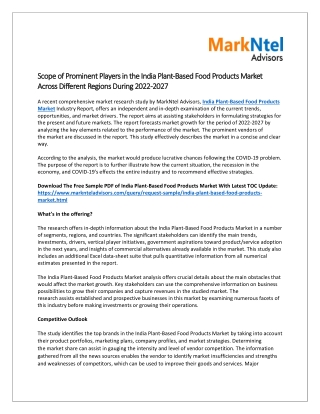 Opportunity Areas for the Players in the India Plant-Based Food Products Market