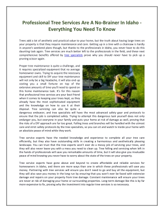 Professional Tree Services Are A No-Brainer In Idaho - Everything You Need To Know