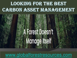 Looking for The Best Carbon Asset Management