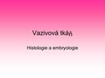 Vazivov tk n