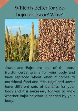 Which is better for you, bajra or jowar Why