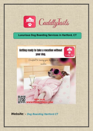 Luxurious Dog Boarding Services in Hartford, CT