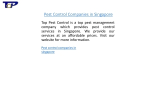 Pest Control Companies in Singapore