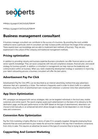 seo agency