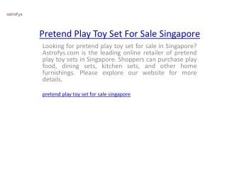 Pretend Play Toy Set For Sale Singapore  Astrofys.com