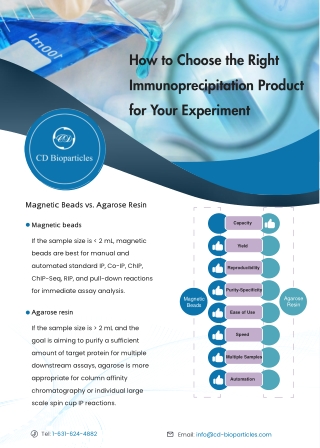 How-to-Choose-the-Right-Immunoprecipitation-Product-for-Your-Experiment