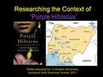 Researching the Context of Purple Hibiscus