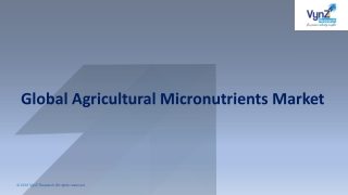 Agricultural Micronutrients Market Growing Status & Revenue by 2028