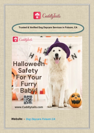 Trusted & Verified Dog Daycare Services in Folsom, CA