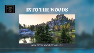 Vacation Home Rental | Black Hill Vacation | Into The Wood