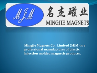 Bonded Magnet Manufacturers and supplier from China