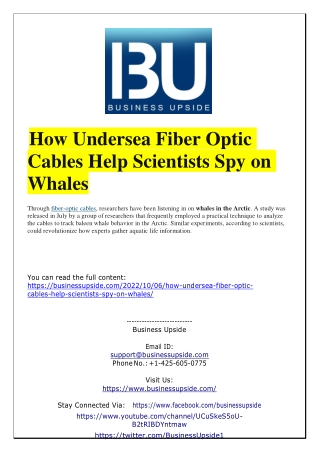 How Undersea Fiber Optic Cables Help Scientists Spy on Whales