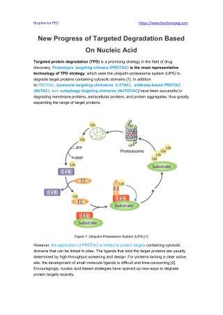 New Progress of Targeted Degradation Based On Nucleic Acid