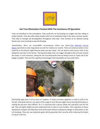 Tree Removal Services In Main Ridge | Cut It Right Tree Service Pty Ltd