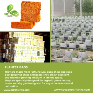 PLANTER BAG