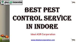 Best Pest Control Service in Indore - Ideal ASR Corporation