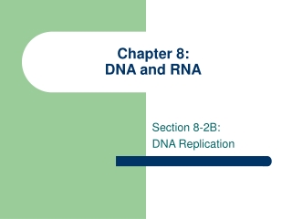 Chapter 8: DNA and RNA