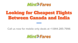 Looking for Cheapest Flights Between Canada and India