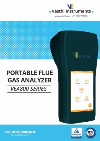 Portable Flew Gas Analyzer VEA800