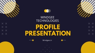 MindGee Digital Marketing and web Development company