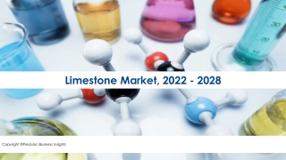 Limestone Market Industry Growth Analysis 2022-28