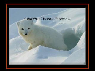Charme et Beauté Hivernal