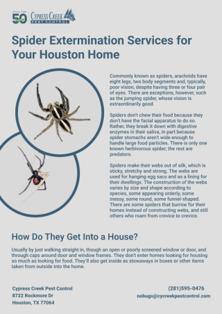 Spider Extermination Services