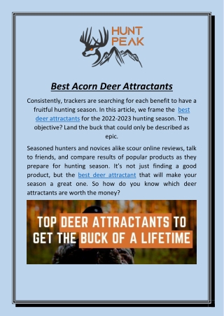 Best Acorn Deer Attractants