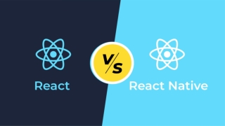 React vs React Native: Key Differences Revealed