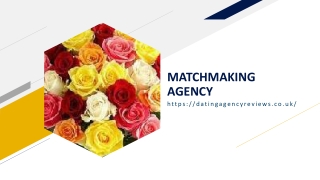 MATCHMAKING AGENCY