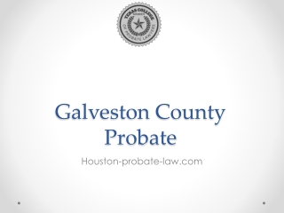 Galveston County Probate - Kreig LLC