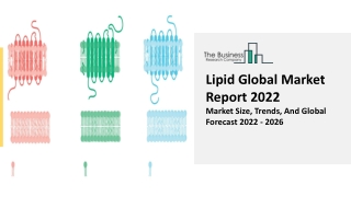 Lipid Global Market Analysis, Scope, Industry Outlook Forecast To 2031