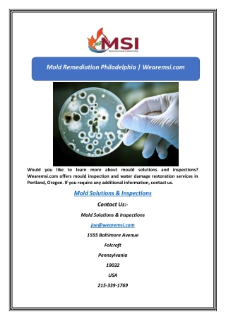 Mold Solutions & Inspections | Wearemsi.com