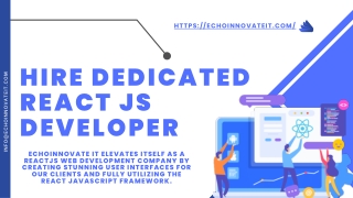 Hire dedicated React JS developer