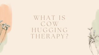 What Is Cow Hugging Therapy