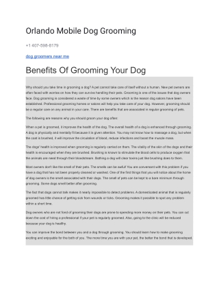Orlando Mobile Dog Grooming