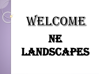 Best Artificial Grass in Lilly