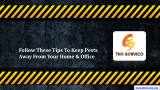 Follow These Tips To Keep Pests Away From Your Home & Office