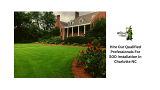 Hire Our Qualified Professionals For SOD Installation In Charlotte NC