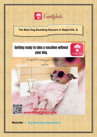 The Best Dog Boarding Daycare in Naperville, IL