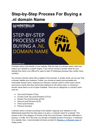 Step-by-Step Process For Buying a .nl domain Name