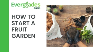 How to Start a Fruit Garden